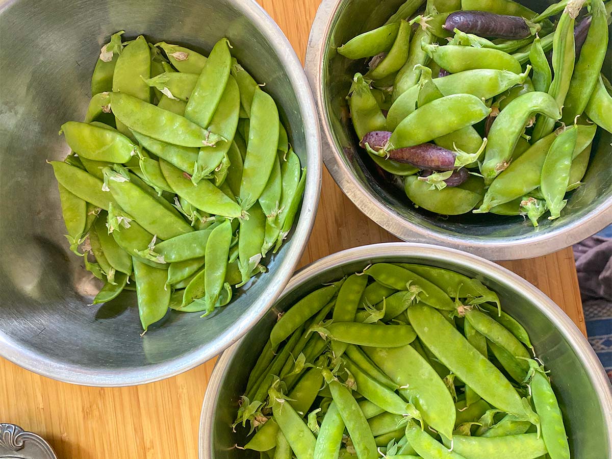 EARLY-BIRD 2024 Linn Ranch Gardens CSA Membership