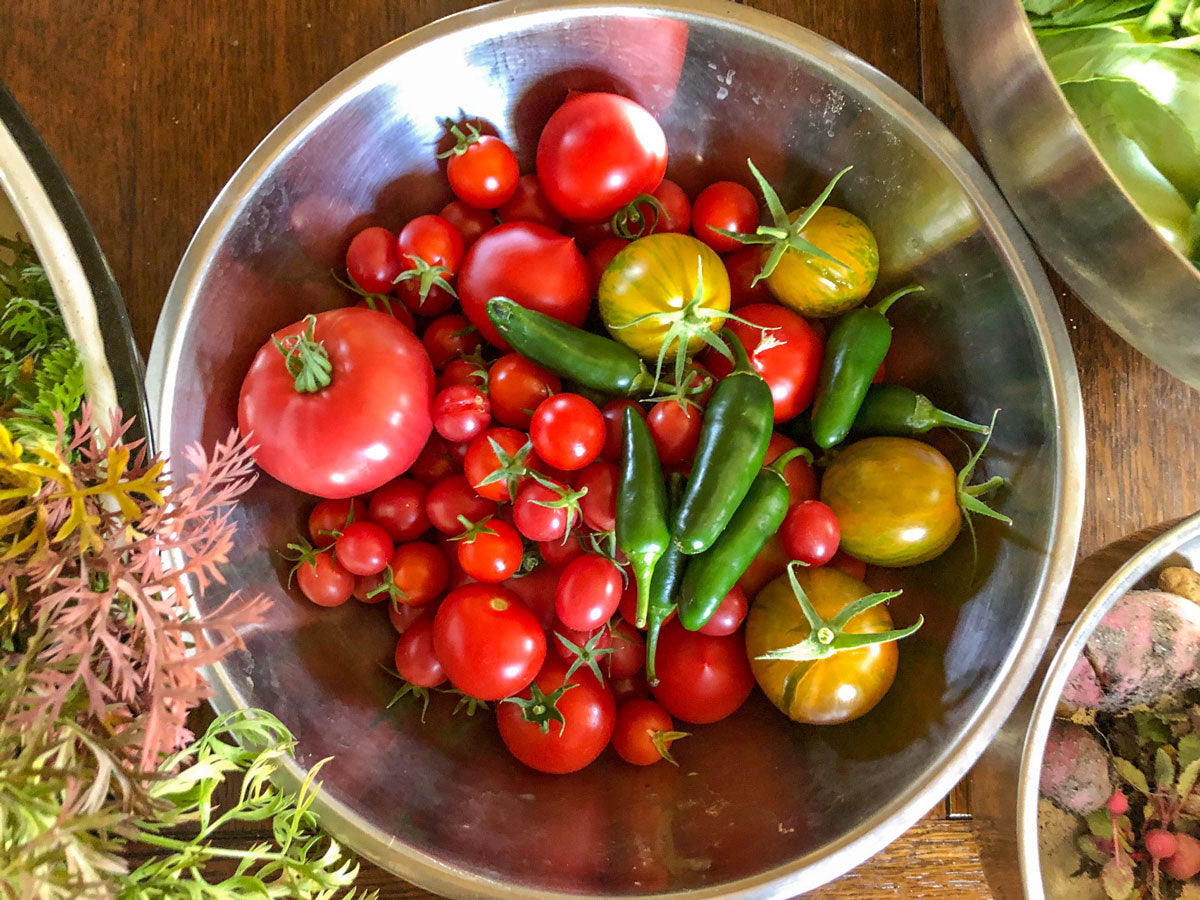 EARLY-BIRD 2024 Linn Ranch Gardens CSA Membership