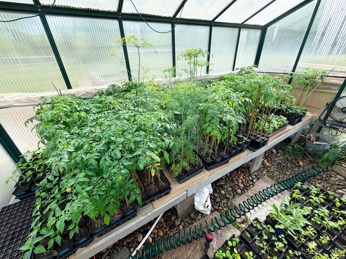 2026 Annual Plant Sale