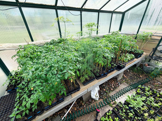 2026 Annual Plant Sale