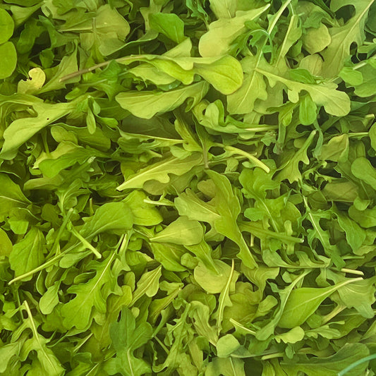 Arugula Mix