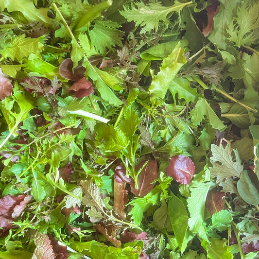 Spicy Spring Mix