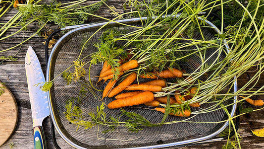 Napoli Carrots
