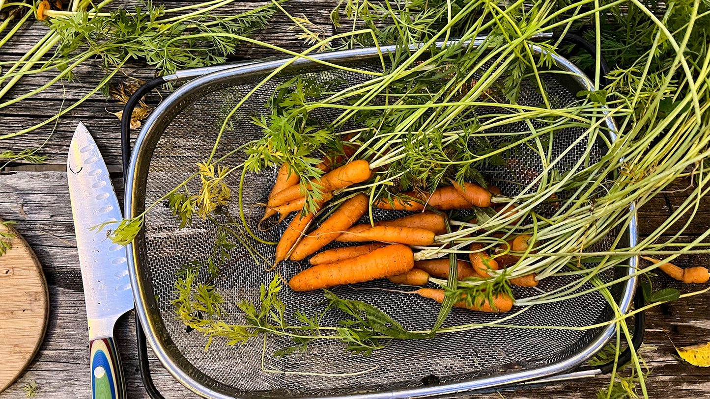 Napoli Carrots