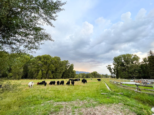 Linn Ranch 100% Grass-Fed Beef